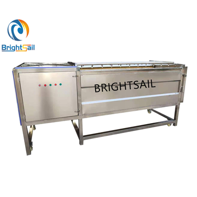 Industriële fabriek gember wasmachine in wasmachines van Brightsail