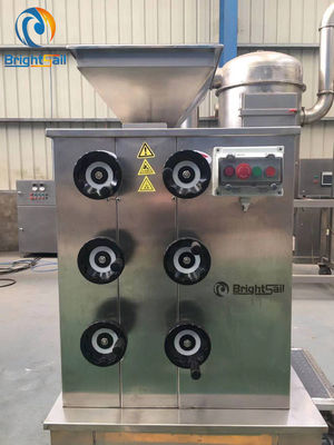 Multifunctionele volledig Automatische Sesamzaadmolen Machine 50 aan 500kg per Uur