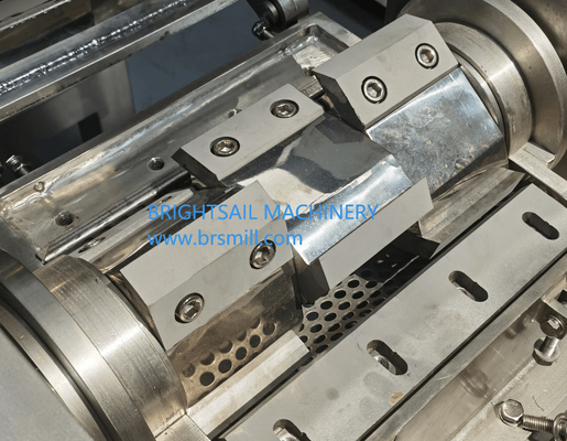 Bevroren Citroen Grofbreker Bevroren Citroen Granulaten Machine voedsel molen machine Brightsail